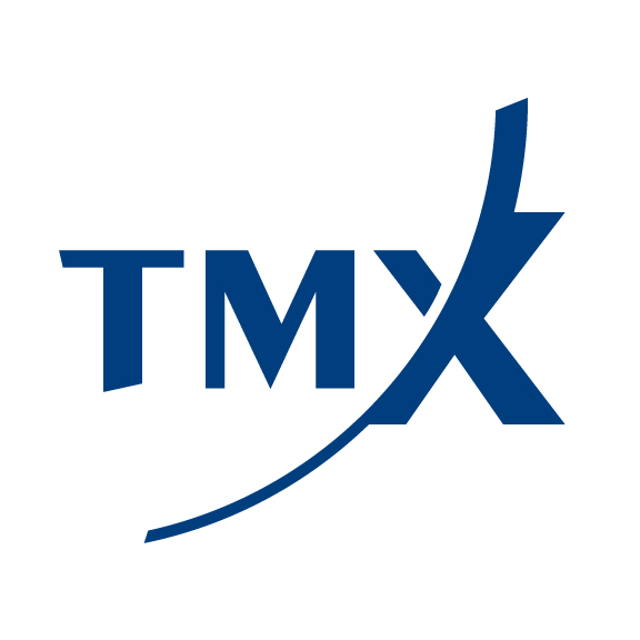 What does TSX stand for in the stock market?