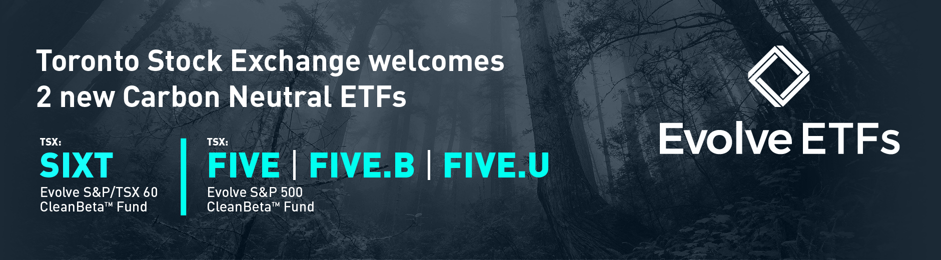 TMX TSX TSXV Toronto Stock Exchange and TSX Venture Exchange