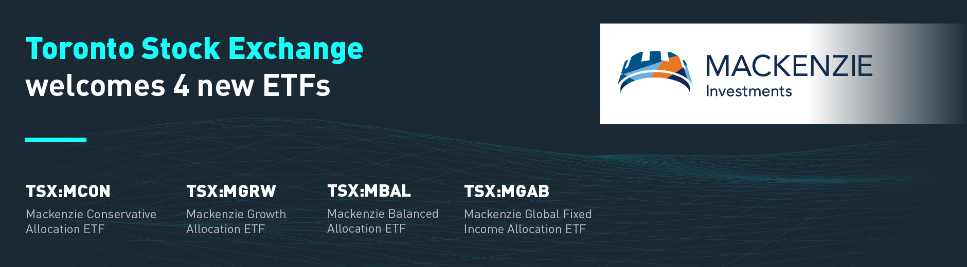 TMX TSX TSXV Toronto Stock Exchange and TSX Venture Exchange TMX TSX TSXV Toronto Stock Exchange and TSX Venture Exchange