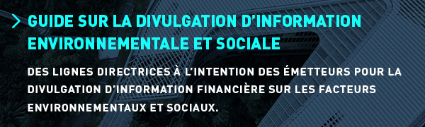 Informations à fournir sur les questions environnementales et sociales : guide d'introduction