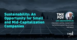 Sustainability: An Opportunity for Small and Mid-Capitalization Companies