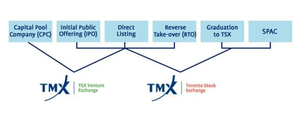 Tsx policy stock options